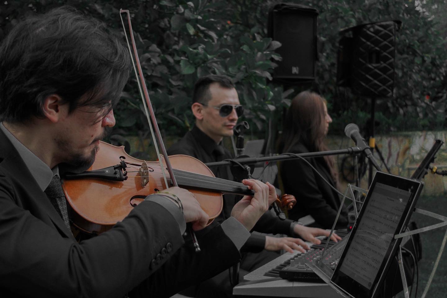 GRUPO DE 3 MUSICOS (TRIO) - Imagen 17