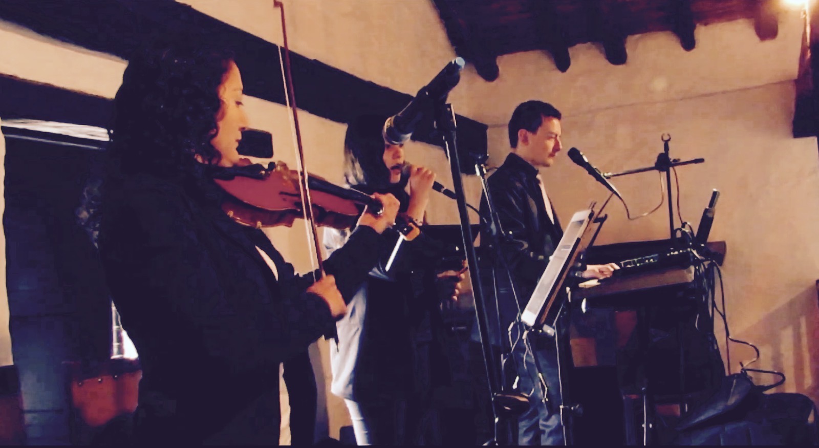 GRUPO DE 3 MUSICOS (TRIO) - Imagen 7