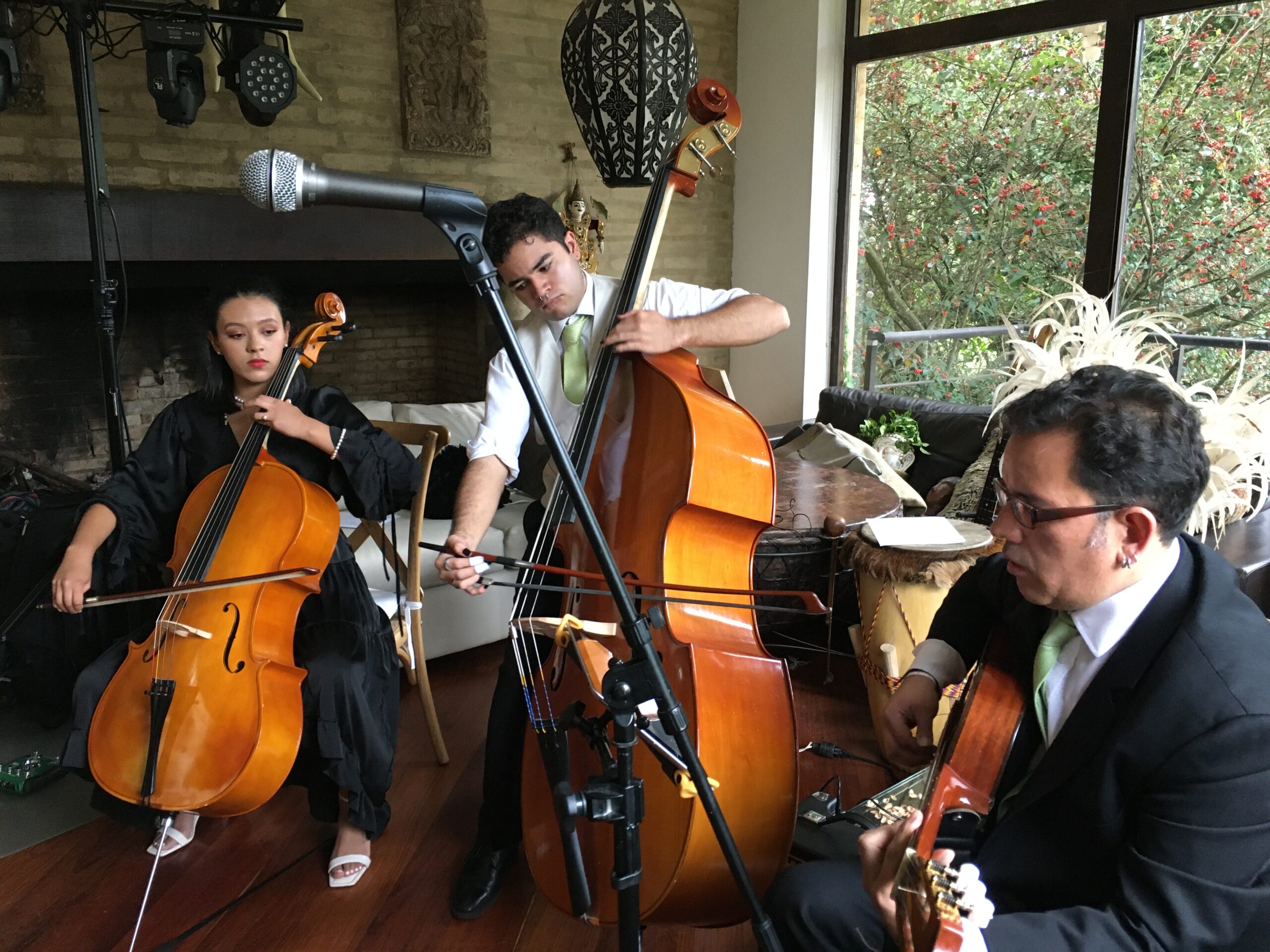 GRUPO DE 3 MUSICOS (TRIO) - Imagen 18